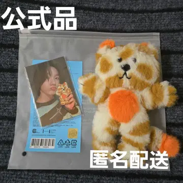 boynextdoor 트레이딩 카드 케이스 캐피 CATBBI 손호