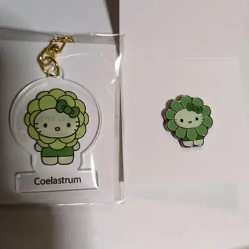 Algae 키티 엑스포 일본관 한정판 배지&키링