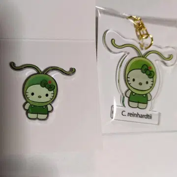 오사카 만국 박람회 일본관 한정 키티 Algae 핀즈&키링 세트