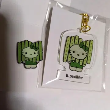 오사카 만국 박람회 일본관 한정 키티 Algae 핀 배지 & 키링 세트