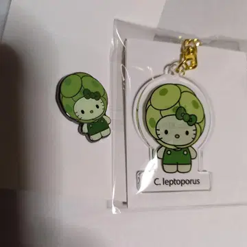 오사카 엑스포 일본관 한정 키티 Algae 핀 배지 & 키링 세트