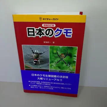 일본의 거미