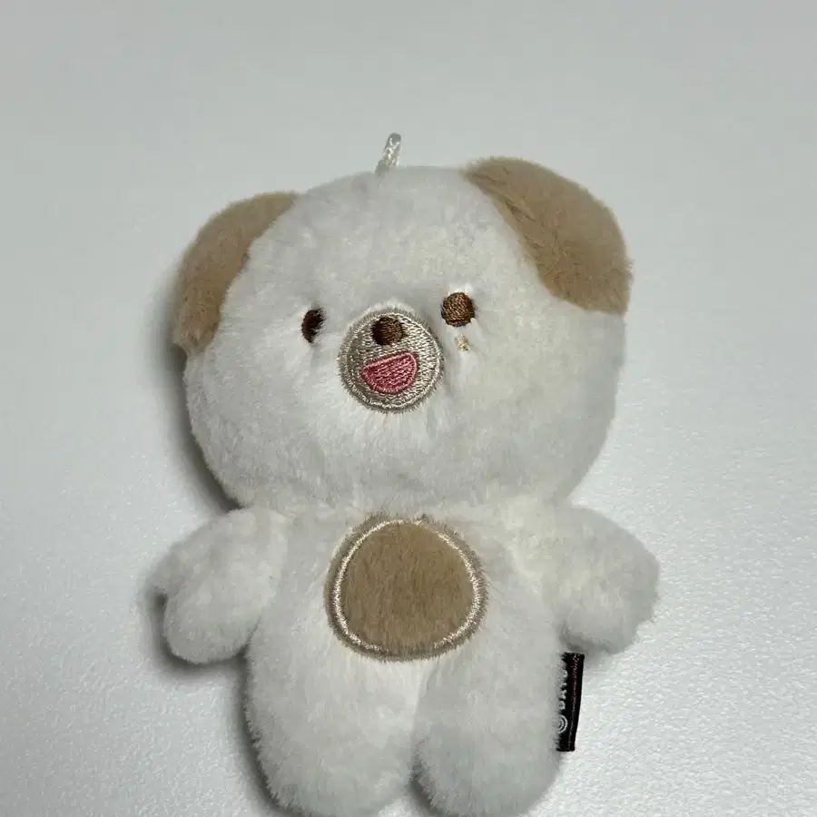DAY6 PETIT PLUSH 10cm ドウン dowoon don DAY6 Welcome to the Show Official Merchandise - Denimalz