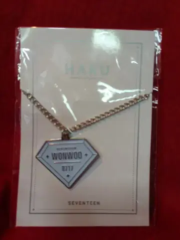 SEVENTEEN 2019 HARU WONWOO 다이아몬드 키링