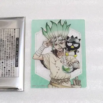 Dr.STONE 이시가미 치쿠루 산리오 아크릴 카드 바츠마루 실물 크기