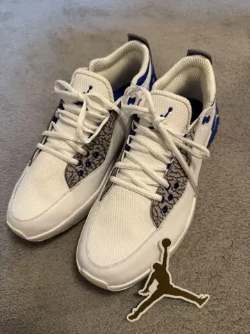 Jordan ADG2 화이트/블루 골프화