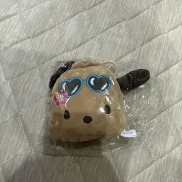 일광화상 포차코 올리브영 산리오 파우치