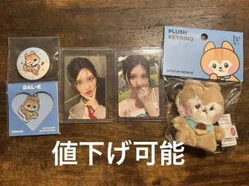 IVE MINIVE 굿즈 정리 트레이딩 카드, 키링, 캔 배치