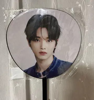 riize 부채 성찬
