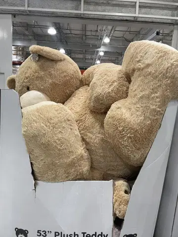 곰 봉제 인형