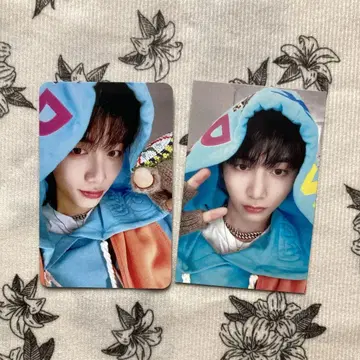BOYNEXTDOOR 테산 라키드로 보넥도 WHO! 트레이딩 카드 2장