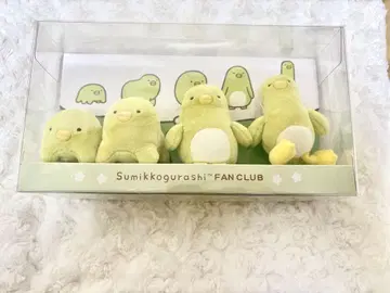 스미코구라시 테노리 봉제 인형 수주 펭귄? 매니아 테노리 봉제 인형