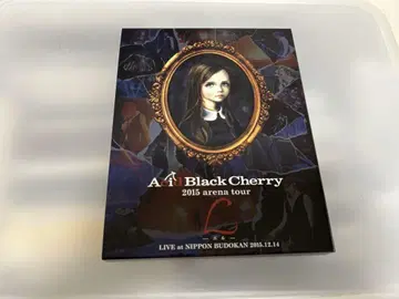 Acid Black Cherry/2015 아레나 투어 L-엘르-