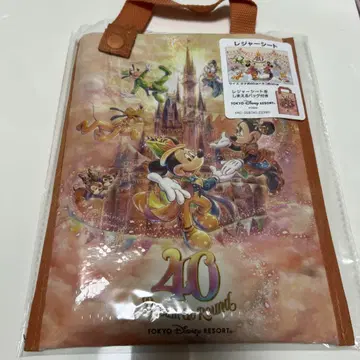 디즈니 40주년 레저 시트 디즈니 리조트