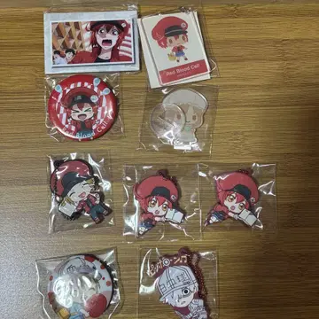 일하는 세포