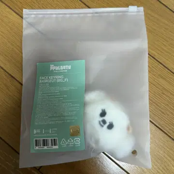 TXT 팝업 페이스 키링 범구