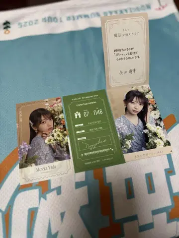 노기자카46 NOGI 메쿠리 야다 모에카
