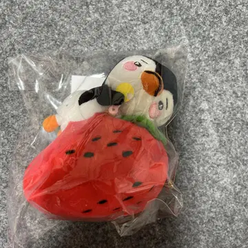 LEE JUNHO FAN-CON 봉제 인형