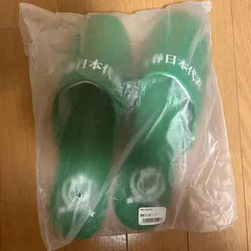 새로운 학교의 리더들 파랑 슬리퍼