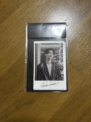 요코하마 류세이 폴라로이드 카드 (vol.2)