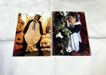 집사 가극단 쿠마가와 집사 카페 할로윈 페어 브로마이드 꽃 배합