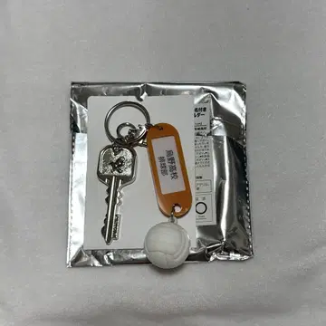 카라스노 열쇠 참 키링