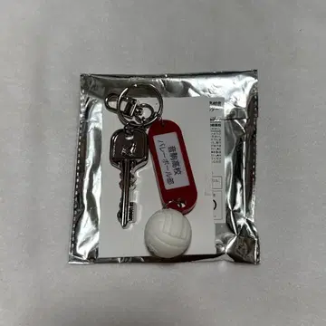 하이큐 오토코마 열쇠 참 키링