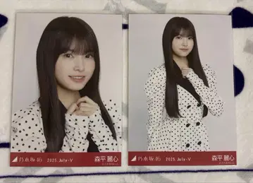 모리타irai 도트 브로마이드 Yori, Chuu