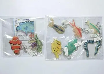 야에야마의 물고기 도감 나가시마 유세이 아크릴 컬렉션