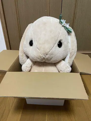 포테우사롭피 챠피 봉제 인형 대