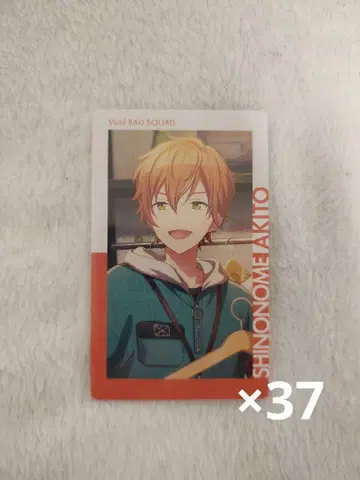 프로세카 프로젝트 세계 epic card 에피카 묶음 판매 아키토