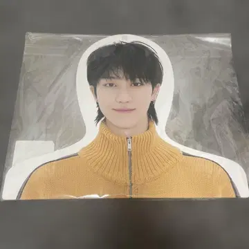 SEVENTEEN HOME 포토 행거 THE8 민하오
