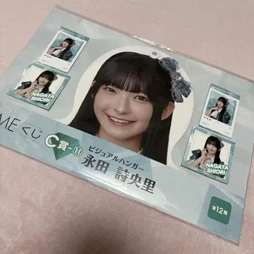 나가타 시오리 비주얼 행거 12장