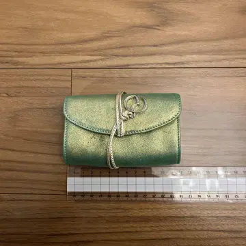 RODO Italy 메탈릭 그린 코인 케이스