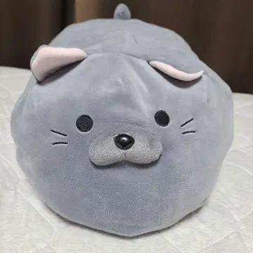 고로네코 서밋 키타지마