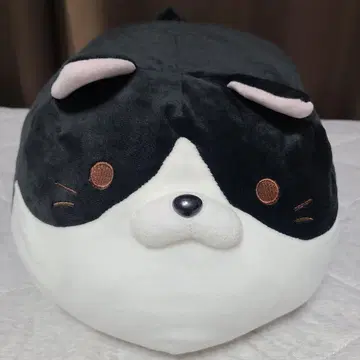 고로네코 서밋 나카가와