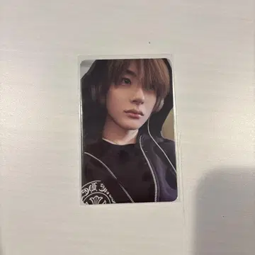앤톤