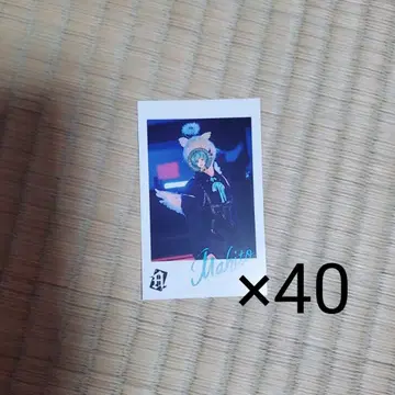 마히토 군 2023 포토 카드