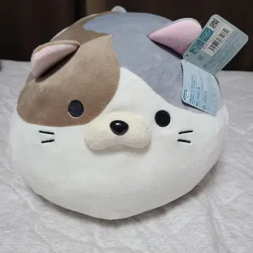 고로네코 서밋 요시다