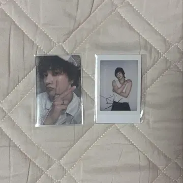 boynextdoor 손호 트레이딩 카드