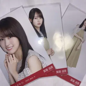 노기자카46 브로마이드 카키 하야카 도트 컴프