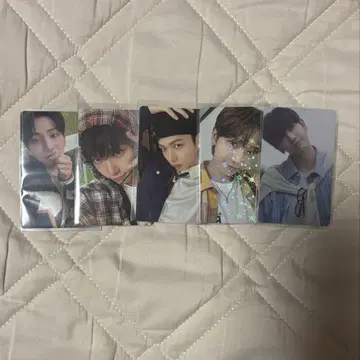 boynextdoor 재현 트레이딩 카드