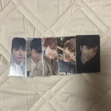 boynextdoor 운학 트레이딩 카드 5장