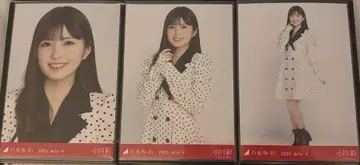 오가와 아야 도트 코디 한여름의 전국 투어 2025