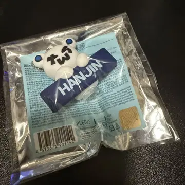 BEAR KEYRING HANJIN 베어 키링 한진 TWS