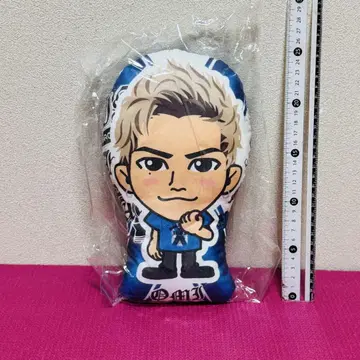 토사카 히로오미 쿠션 c