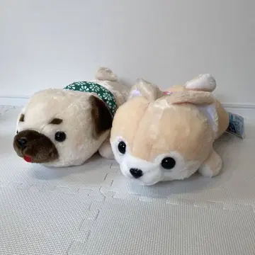 콩 세 형제 퍼그 베 슈가 봉제 인형 약 60cm