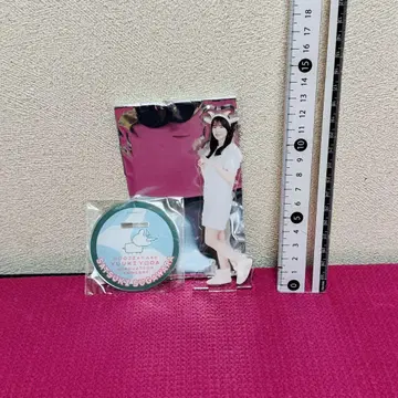 노기자카46 스가하라 사츠키 아크릴 스탠드 요다 유키 졸업 콘서트