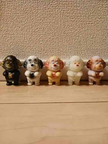 vag 노라이누코 5개 세트!