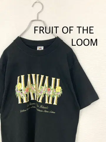 FRUIT OF THE LOOM Hawaii USA제 싱글 스티치